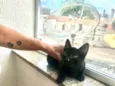 Kiwi bb2meses Linda 