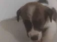 Bebê 2
