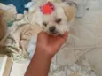 Nina