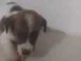 Bebê 2