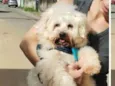 Kiko