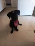 Princesa 
