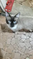 Bebê 7meses