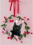 Kiwi bb2meses Linda 