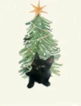 Kiwi bb2meses Linda 