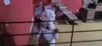 Snoopy