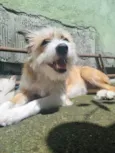 Kiara