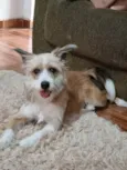 Kiara