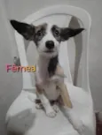 Mônica