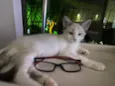 Hugo