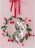 Bubby bb2meses Linda 
