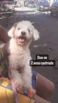 Maya