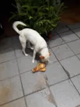 Dora
