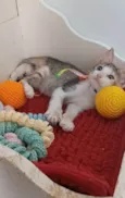 DALILA