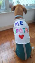 Xodó