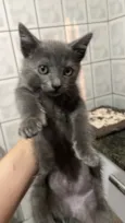 Tom 