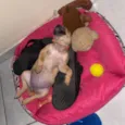 Brisa