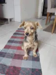 Chiquita 