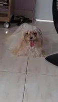 PEROLA