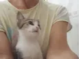 Lakismi