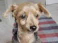 Chiquita 