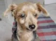 Chiquita