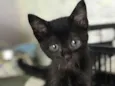 Lupita