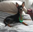 Chico