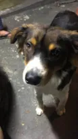 Luppy