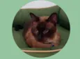Zeca