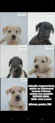 (sem nome)