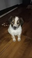 Billy