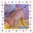 (sem nome)
