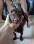 Pequeninos