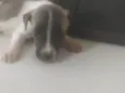Bebê 1