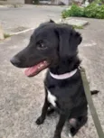 Docinho 