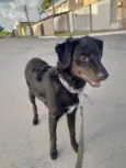 Docinho 