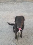 Docinho 