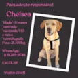 Chelsea