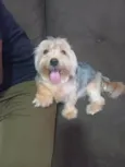 Mel 