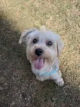 Mel 