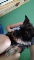 Mike 