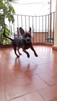 Duke