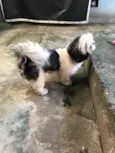 Lua