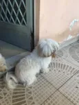 Sol 