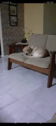 Simba