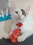 TOBIAS