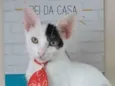 TOBIAS