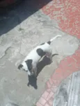 Princesa