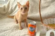 COCA E FANTA